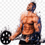 png-clipart-weight-training-muscle-bodybuilding-barbell-lean-body-mass-chest-muscle-physical-fitness-arm-thumbnail